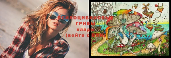 МДПВ Аркадак