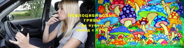гашик Армянск