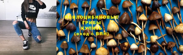кокс Арсеньев
