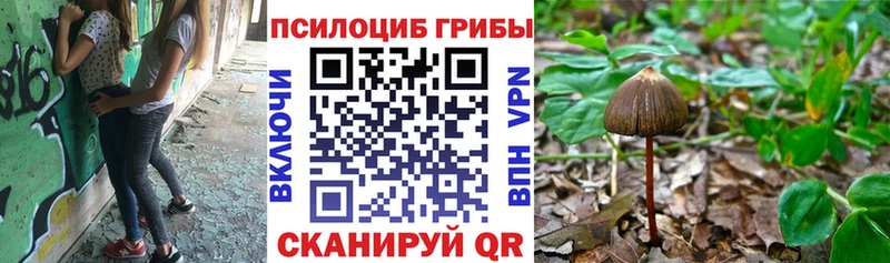 Купить где  Мыски  Псилоцибиновые грибы ЛСД 